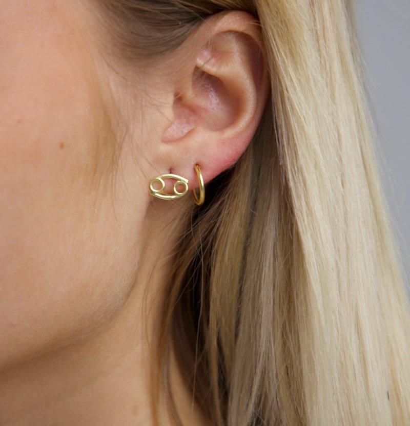Zodiac Ohrstecker - SHAHDIA