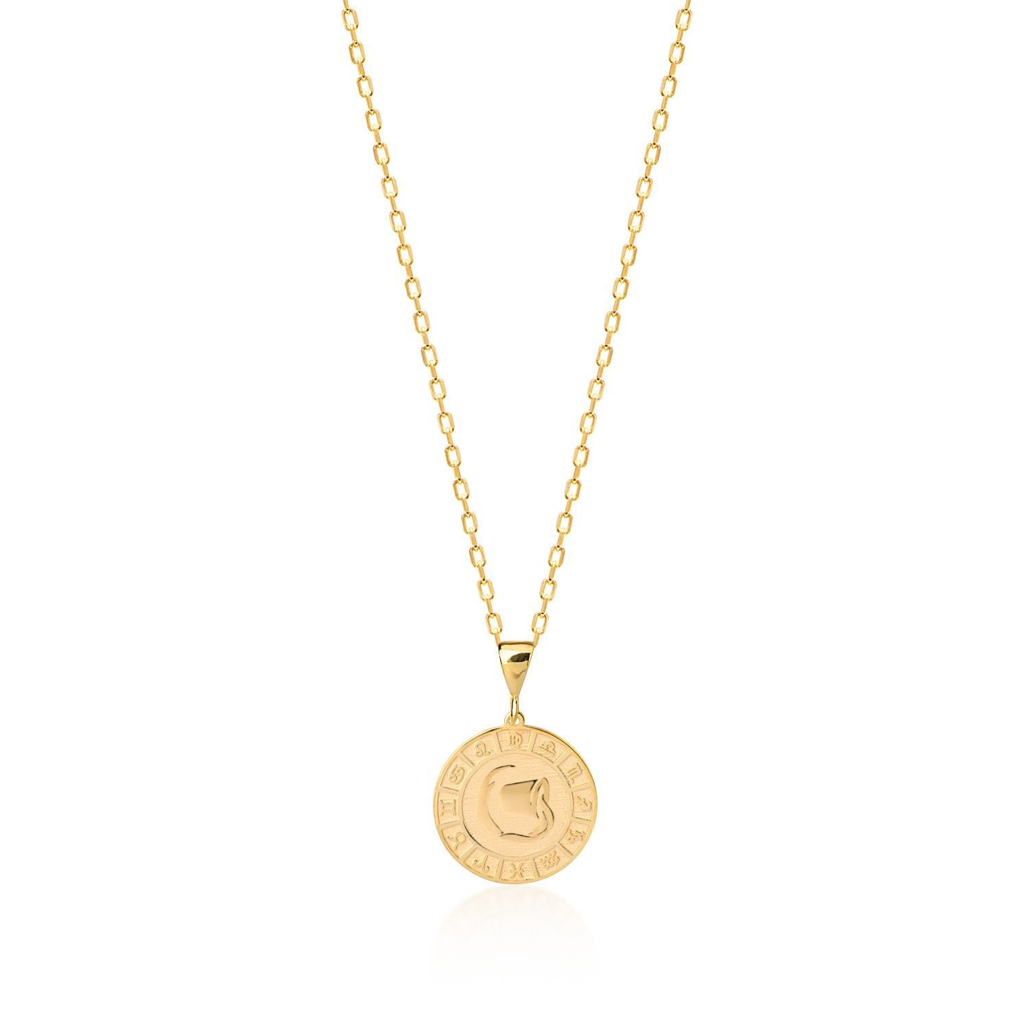 Zodiac Plate Kette - Tash Jeweler