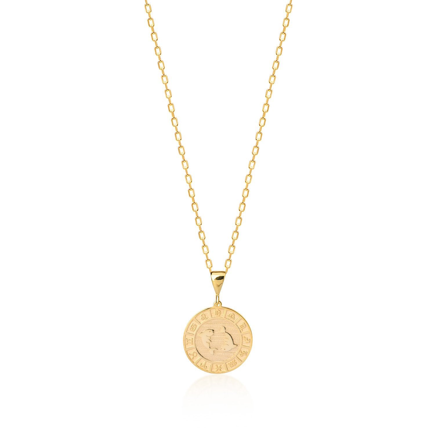 Zodiac Plate Kette - Tash Jeweler