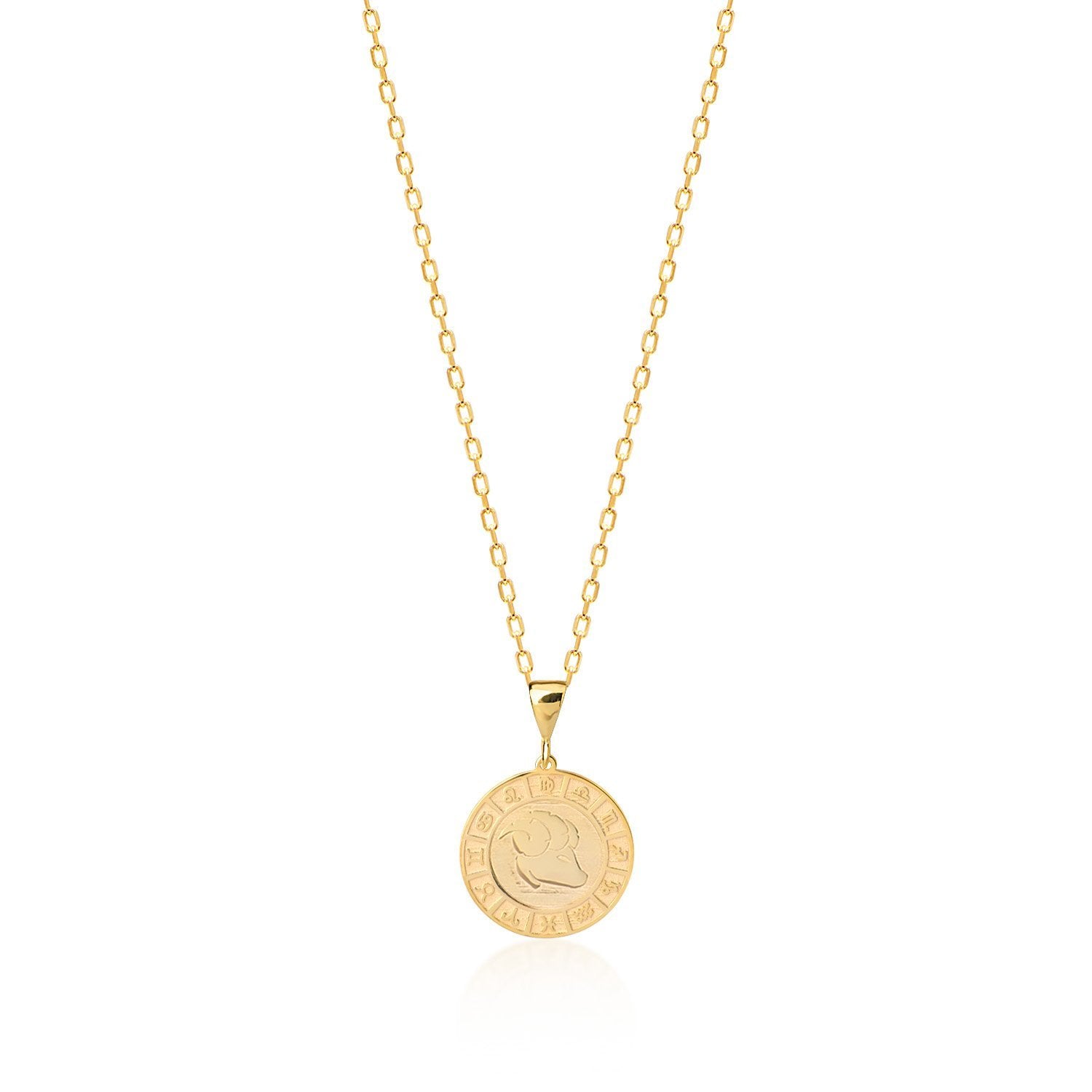 Zodiac Plate Kette - Tash Jeweler
