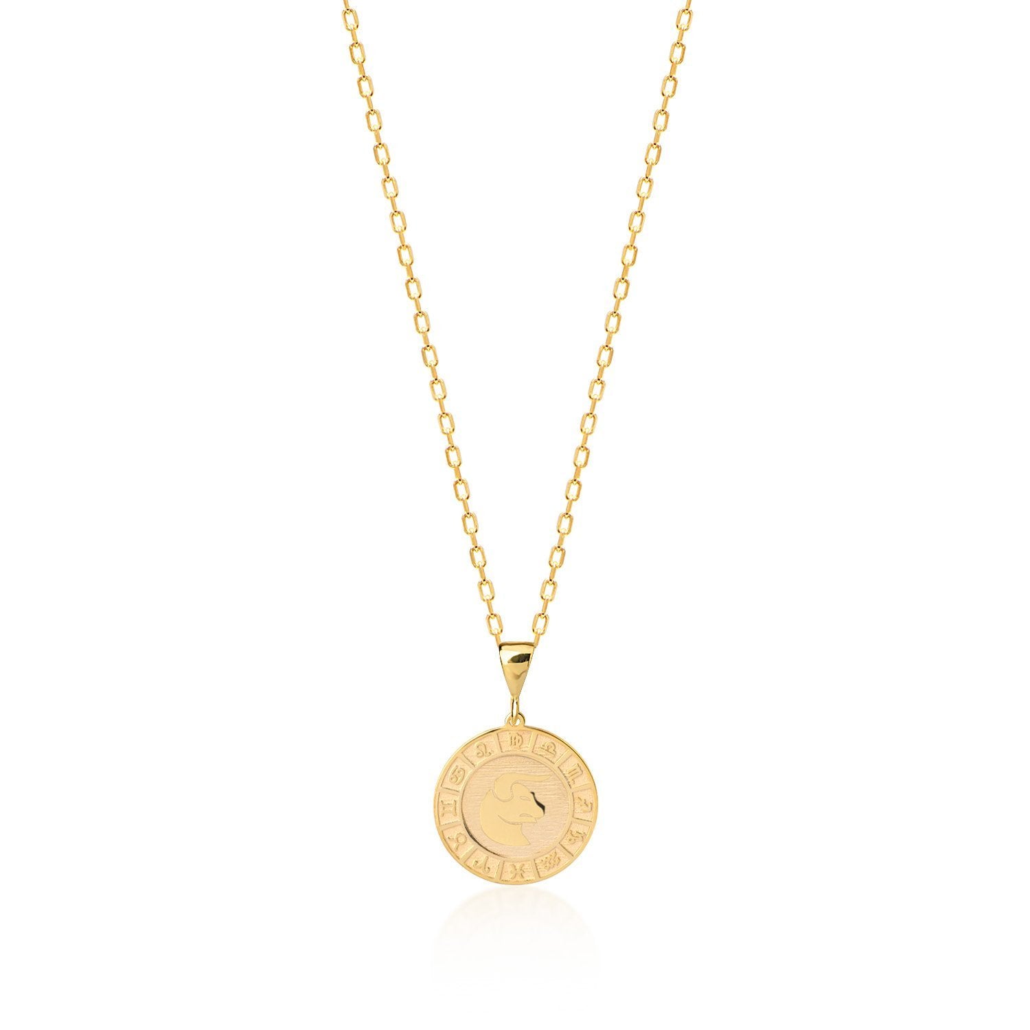 Zodiac Plate Kette - Tash Jeweler