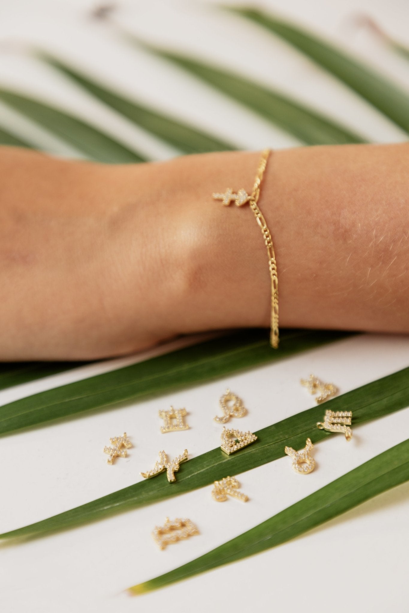 Zodiac Zirkonia Ohrringe - Tash Jeweler